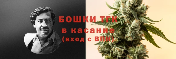 ГАЛЛЮЦИНОГЕННЫЕ ГРИБЫ Алексин