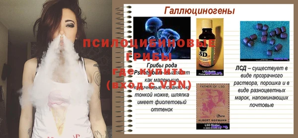 ГАЛЛЮЦИНОГЕННЫЕ ГРИБЫ Алексин