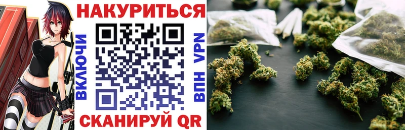Каннабис индика  Новоалтайск 